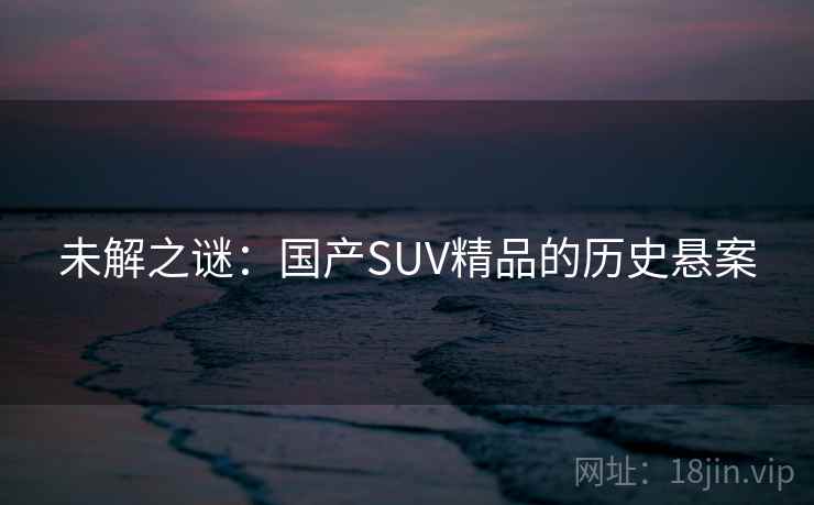 未解之谜：国产SUV精品的历史悬案  第1张
